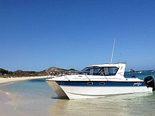 Catamaran express cruiser 32RSoutboardsport-fishing