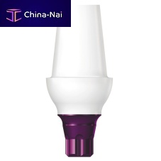 Titanium implant abutment COPAEM00externalinternalstraight