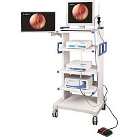 ENT endoscopy column