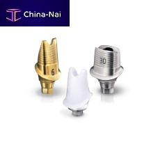 Titanium implant abutment zirconiainternalstraight
