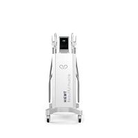 Muscle electrical stimulation body contouring unit HIEMTtrolley-mounted