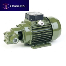 Gear pump CFfor clear waterelectricstationary