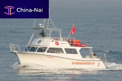 Inboard express cruiser 46' twin-enginewith enclosed flybridgedive
