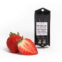 AC voltage transducer MGT-0420-001
