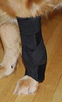 Elbow protection veterinary joint protection Custom Carpal Wraps