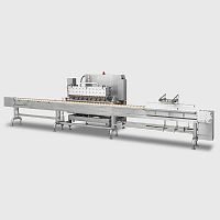 Injector for the food industry DI volumetric