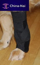 Elbow protection veterinary joint protection Custom Carpal Wraps