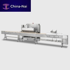 Injector for the food industry DI volumetric