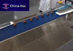 Flat belt Dectylpolyurethanethermoplasticfood