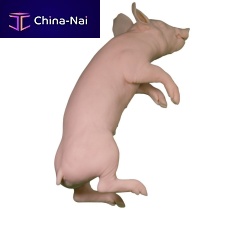Veterinary training manikin pigpink
