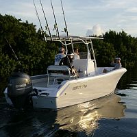 Outboard center console boat 208 RXsport-fishingwith T-top