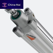 Pneumatic cylinder