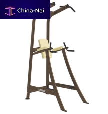 Leg raise chair with pull-up bar Free Weights