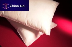 Airliner pillow