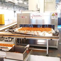 Radio frequency dryer ARIESfor the food industry