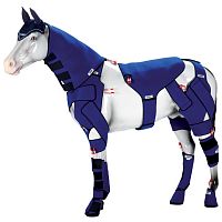 Equine veterinary orthosis anklewristelbow