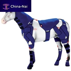 Equine veterinary orthosis anklewristelbow