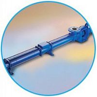 Progressive cavity pump wateroilwith electric motor