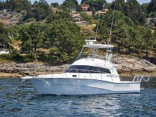 Inboard express cruiser 1290 Fisher Protwin-engineflybridgesport-fishing