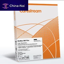 Multipurpose radiography X-ray film BioMax MR8 x 1014 x 1710 x 12