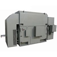 AC motor YR/YRKK seriessynchronous10000 VIP23