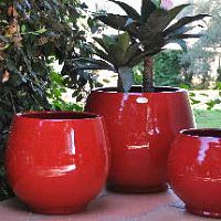 Terracotta plant pot COQUELICOT : BAHIAround