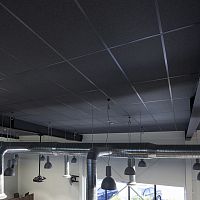 PET suspended ceiling ACCENTtilepanelfor office