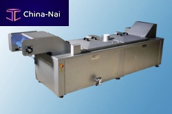 Pasteurizer for the food industry continuous