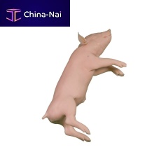 Veterinary training manikin pigpink