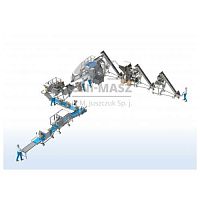 Frozen raspberry processing line