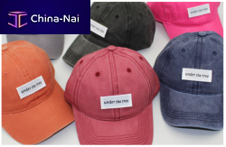����� Xiongxian Kaixincap.co.Ltd