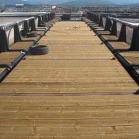 Floating walkway