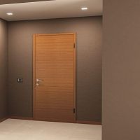 Entry door Medeasteelswingcontemporary