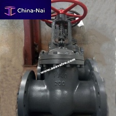 Gate valve GOST with handwheelstainless steelflange