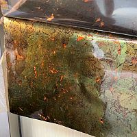 Furniture decorative film Greenish Sakurafor partition wallfor glassfor interior