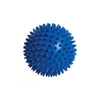 Small size Pilates ball PBD. serieswith pinsadult