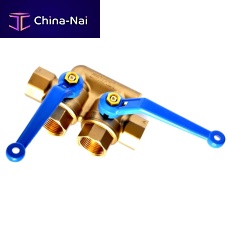 Two-handed valve BSD3000ballleverdouble block-and-bleed