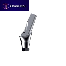 Conical implant abutment titaniumanatomicalangled