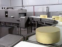 Cheese food washing tunnel brushspraying