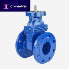 Wedge gate valve D040-00821with handwheelshut-offflange