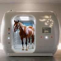 Horse veterinary hyperbaric chamber HP2000