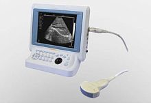 Portable veterinary ultrasound system HD 6300multipurposefor cattlefor sheep
