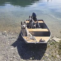 Outboard tender 3000openfishinghunting