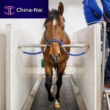 Equine veterinary spa FMBs Pro