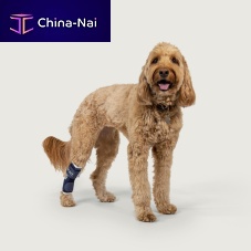 Hock veterinary splint Balto® for dogs