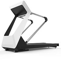 Treadmill forest