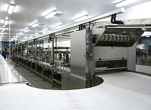 Belt conveyor automaticdoughprocess
