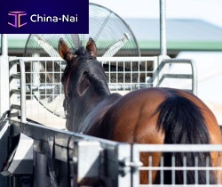 Walk veterinary treadmill GGfor horseshigh-speed