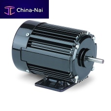 Induction motor 42R seriesAC230 V115 V