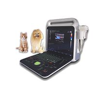 Portable veterinary ultrasound system XF3800Vmultipurposefor dogsfor cats